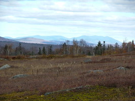 The Barren Mountains in the distance, visible from fields